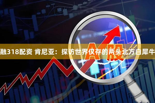 融318配资 肯尼亚：探访世界仅存的两头北方白犀牛
