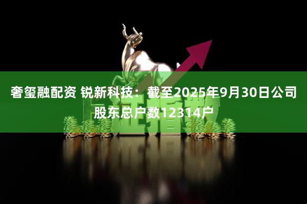 奢玺融配资 锐新科技：截至2025年9月30日公司股东总户数12314户